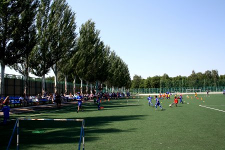 Фестиваль футбола